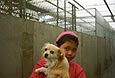 Kirtsy Griffin - Animal Welfare Dog Pound